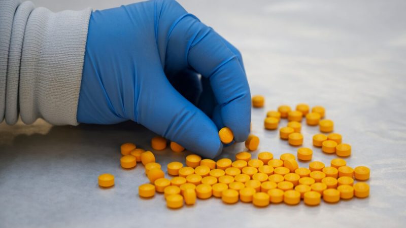 Химик из Управления по борьбе с наркотиками США проверяет конфискованные таблетки, содержащие фентанил, Нью-Йорк, 8 октября 2019 г. (Don Emmert/AFP via Getty Images)  | Epoch Times Россия