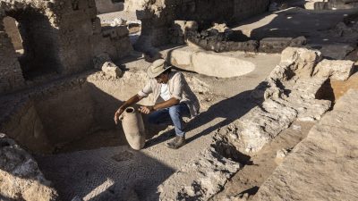 Израильские археологи обнаружили древний винодельческий комплекс