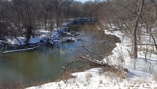 Река Руж зимой возле колледжа Генри Форда в Дирборне, штат Мичиган, 2 февраля 2017 г. (Rmhermen через Wikimedia Commons/CC BY-SA 4.0)