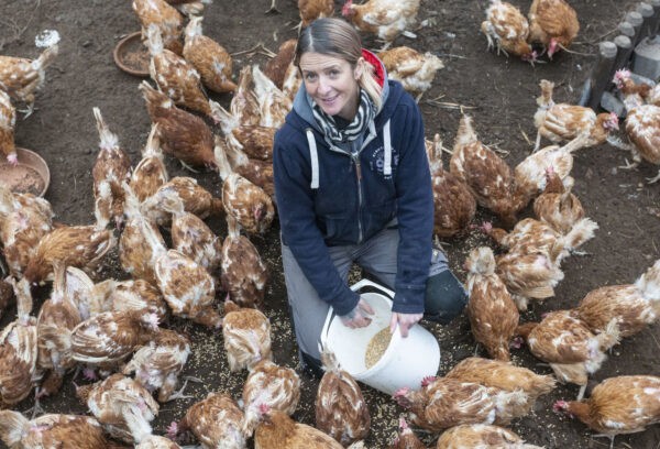 Мелани решила принять в своём приюте для животных как можно больше кур, и спасла все 4 000 кур. (SWNS)