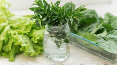 Как вырастить зелёный лук и другие овощи из отходов