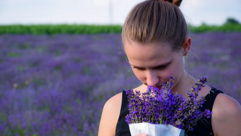 Было показано, что вдыхание эфирных масел из лаванды оказывает несколько терапевтических эффектов. (Richárd Ecsedi/Unsplash) | Epoch Times Россия