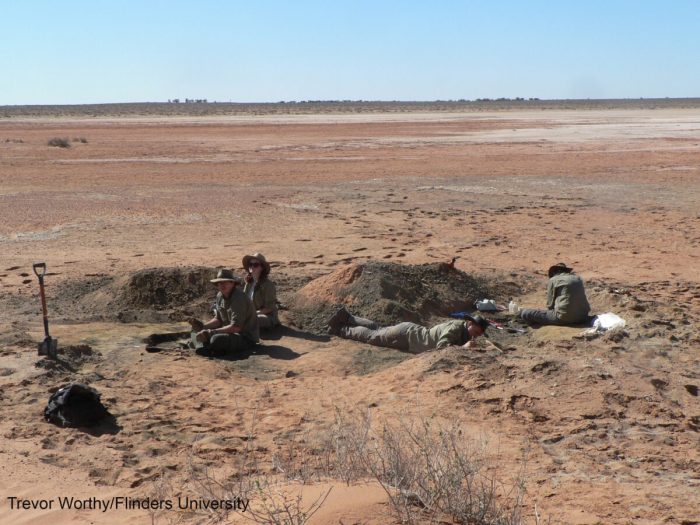 В Австралии нашли окаменелость орла возрастом 25 млн лет
