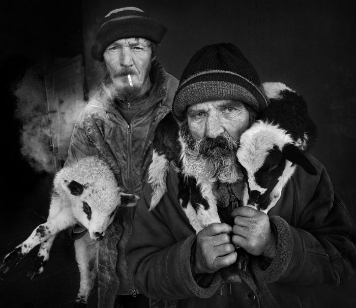 Фотопроект демонстрирует нежную связь между пастухами и их стадами