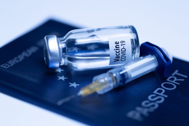 «Вакцина COVID-19» и шприц на европейском паспорте, 3 марта 2021 года. Фото: Joel Saget/AFP via Getty Images