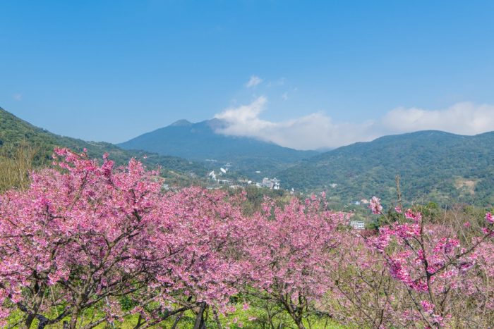 Посетите удивительные места на севере Тайваня