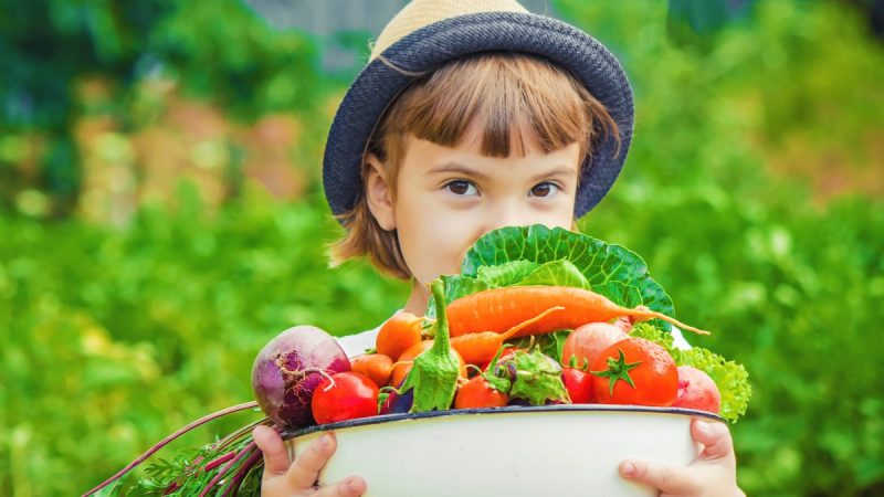 Мы осознали, что еда может влиять на наши гены, а это значит, что нам нужно забыть всё, что мы знали о еде. (Татевосян Яна / Shutterstock)
 | Epoch Times Россия
