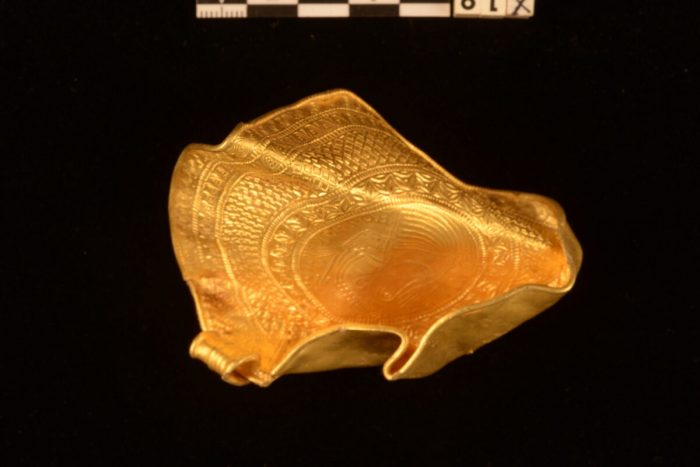 В Дании найден клад возрастом 1500 лет