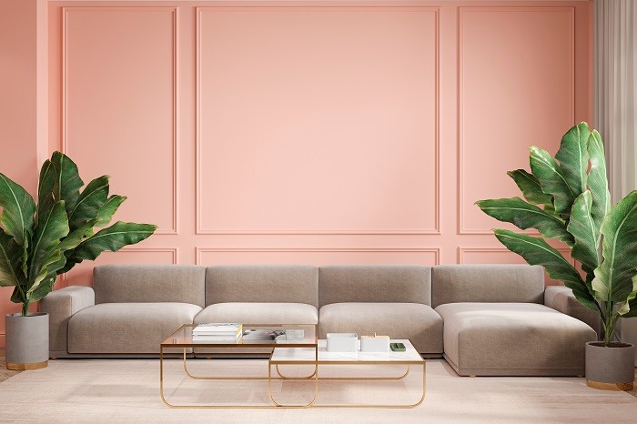 Светло-розовые стены дарят людям тёплые и радостные ощущения. (Shutterstock)