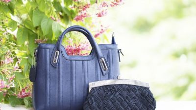Впечатляющая роскошь: сумки в стиле китайской династии Тан