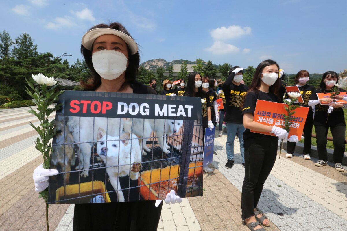 Южнокорейские активисты по защите прав животных проводят митинг против употребления в пищу собачьего мяса. Сеул, Южная Корея, 16 июля 2020 года. (Ahn Young-joon/AP Photo)