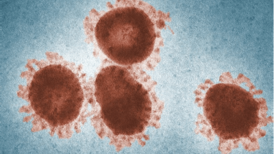 Грядёт чудовищная волна заболеваний коронавирусом в США