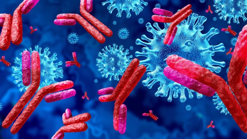 Концепция антител и иммуноглобулинов как антител, атакующих инфекционные вирусные клетки и патогены, как трехмерная иллюстрация. Lightspring/Shutterstock
 | Epoch Times Россия