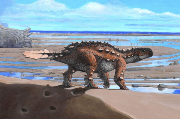 Стегозавр на иллюстрации. (Luis Perez Lopez via AP)