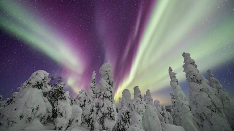 «Нарния», Аляска. (Courtesy of Amy J. Johnson via Capture the Atlas) | Epoch Times Россия