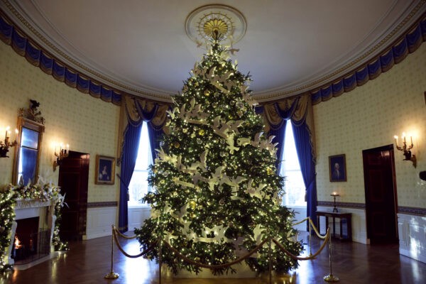 Официальная рождественская ёлка Белого дома стоит в Голубой комнате во время предварительного просмотра праздничных украшений для прессы 29 ноября 2021 года. (Alex Wong/Getty Images)
