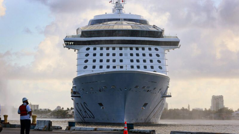 Судно Odyssey of The Seas компании Royal Caribbean прибывает в Порт Эверглейдс в Форт-Лодердейле, штат Флорида, 10 июня 2021 года. (Joe Raedle/Getty Images)  | Epoch Times Россия