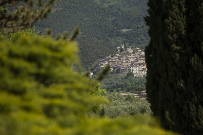 «Поместье паши»: обширное поместье в регионе Италии