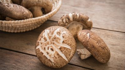 Доказано, что грибы шиитаке помогают при десятках болезней