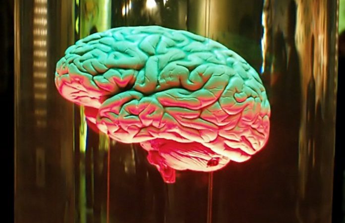Учёным удалось «научить» нейро-компьютерный интерфейс преобразовывать мысли в текстовые сообщения. (Изображение: Olga Makovey via Dreamstime) | Epoch Times Россия