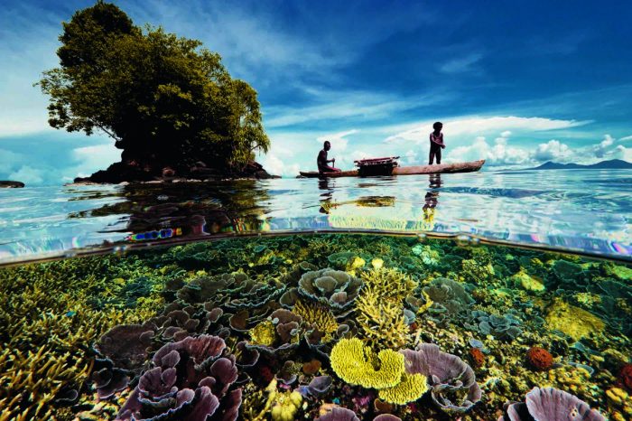 Фотограф National Geographic сделал великолепные снимки двух миров — над и под водой