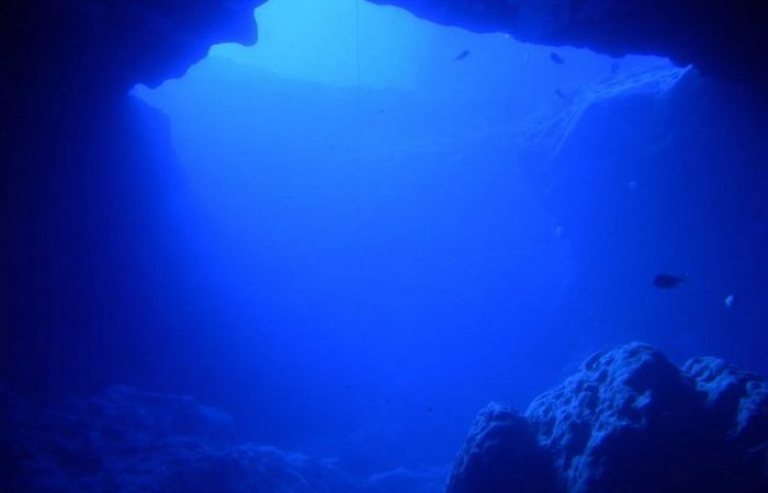 Исследователи из Университета Флориды извлекли почти 100 окаменелостей из затопленной пещеры на Багамах (изображение: Heirbornstud via Dreamstime)  | Epoch Times Россия