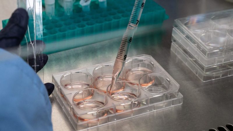 Лабораторный тест в биотехнологической фирме Transgene, которая работает над созданием вакцины против рака на основе неоантигена, в Илкирх-Граффенштадене, Франция, 17 ноября 2021 года. (Patrick Hertzog/AFP via Getty Images)  | Epoch Times Россия