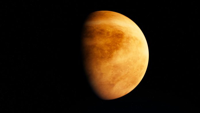 Омнек утверждает, что пришла на Землю с Венеры, чтобы помочь человечеству. (Image: @MediaWhale via Twenty20)  | Epoch Times Россия