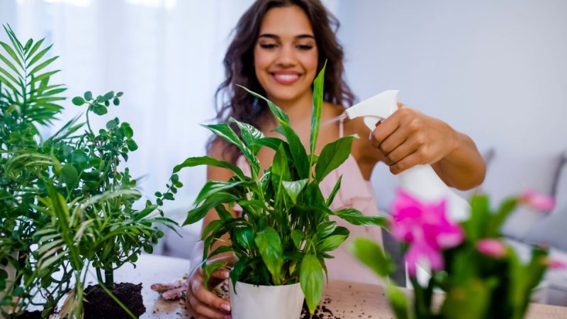 Заботьтесь о своих растениях, и они позаботятся о вас. (Dragana Gordic/Shutterstock)
 | Epoch Times Россия