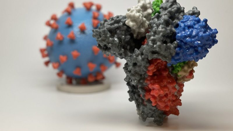 3D-принт шиповидного белка SARS-CoV-2 — вируса, вызывающего COVID-19 — перед 3D-принтом частицы вируса SARS-CoV-2. Фото: Courtesy of NIAID/RML
 | Epoch Times Россия