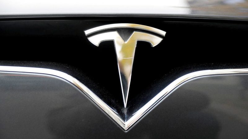 Логотип компании на электромобиле Tesla Model X в Берлине, Германия, 13 ноября 2019 года. Фото: Fabrizio Bensch/Reuters  | Epoch Times Россия