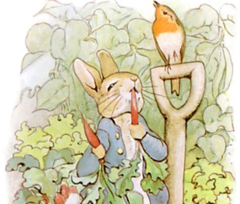 Кролик Питер пирует в саду мистера МакГрегора в издании 1902 года «Сказки о кролике Питере». (Всеобщее достояние) | Epoch Times Россия