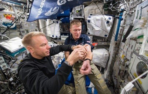 Эксперименты MARROW в Оттаве по изучению здоровья костного мозга астронавтов и выработке крови в космосе. (Image: via NASA.)