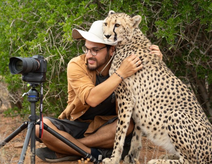 Фотограф обнял дикого гепарда во время съёмок в заповеднике