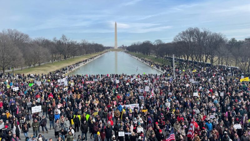 Толпа собирается у мемориала Линкольна на митинге против обязательной вакцинации в Вашингтоне 23 января 2022 года. (Lynn Lin/NTD)
 | Epoch Times Россия
