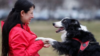 Собаки способны различать языки