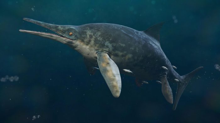 Окаменелость возрастом 180 млн лет принадлежала ихтиозавру