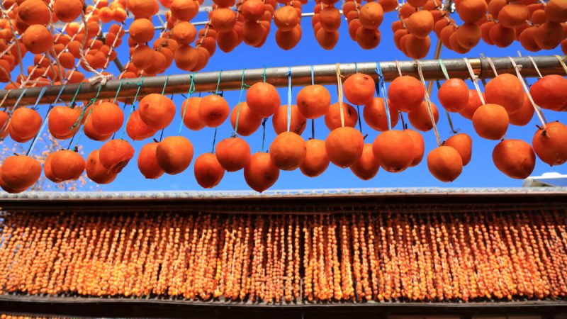 Свисающие нити хосигаки — обычное зрелище в сельской местности Японии, где их изготовление является сезонной традицией. (Shutterstock) | Epoch Times Россия