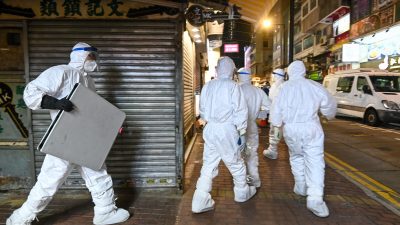 В Гонконге уничтожают хомячков как возможных переносчиков коронавируса