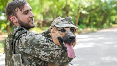 Служебные собаки — надёжные помощники ветеранам с посттравматическим стрессовым расстройством