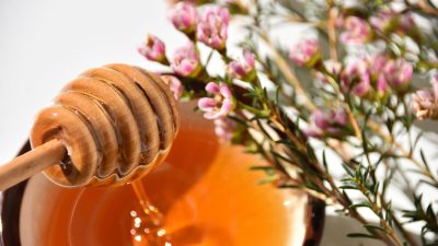 Пять удивительных фактов о целебном мёде