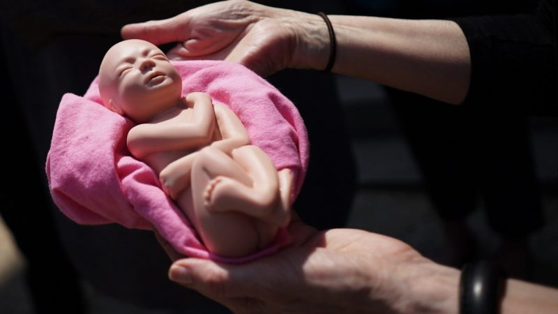 Активист-защитник жизни держит модель ребенка. Фото: Mandel Ngan/AFP/Getty Images | Epoch Times Россия
