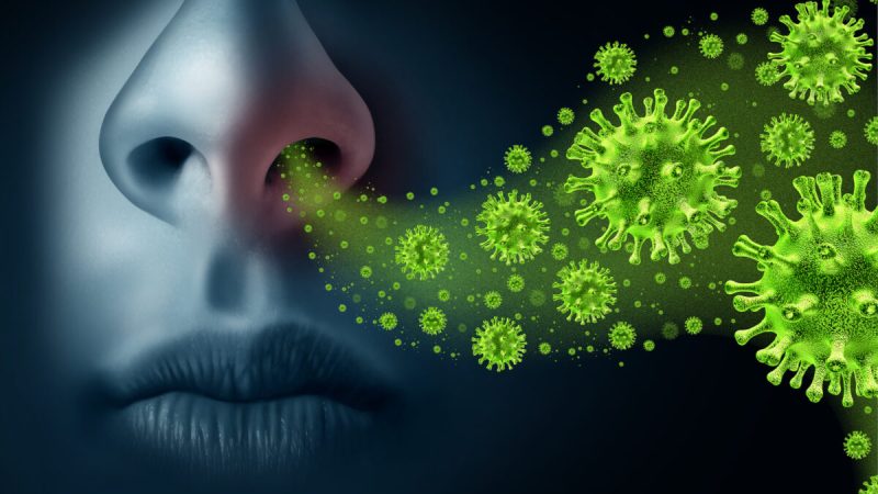 Учёные обнаружили высокий уровень рецепторов АСЕ2 в клетках носа. Фото: Lightspring/Shutterstock | Epoch Times Россия