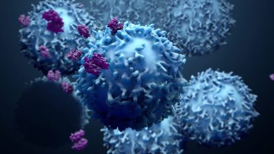 Т-клетки: супергерои в битве против «Омикрона»