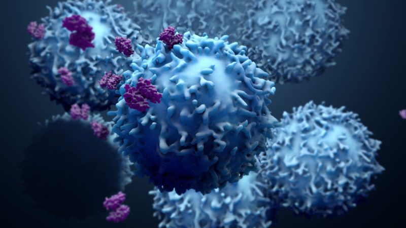 Т-клетки могут распознавать и устранять «Омикрон». Фото: Design_Cells/Shutterstock | Epoch Times Россия