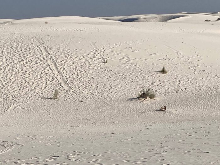 В Белых песках Аламогордо, Нью-Мексико