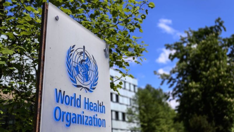 Логотип Всемирной организации здравоохранения в Женеве, Швейцария, 24 апреля 2020 г. Фото: Fabrice Coffrini/AFP via Getty Images | Epoch Times Россия