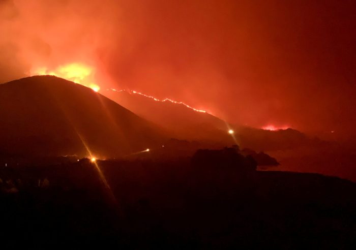 Эксперты: Лесные пожары — результат неправильного ведения лесных хозяйств, а не глобального потепления