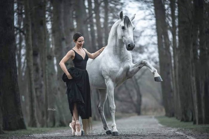 Красота и доверие объединяют лошадей и их владелиц