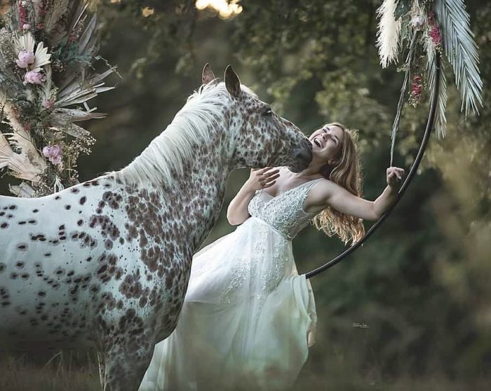 Красота и доверие объединяют лошадей и их владелиц